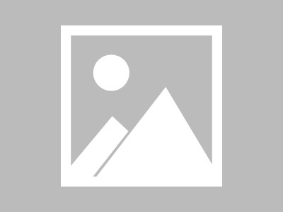 商贸公司从战略规划到项目选择